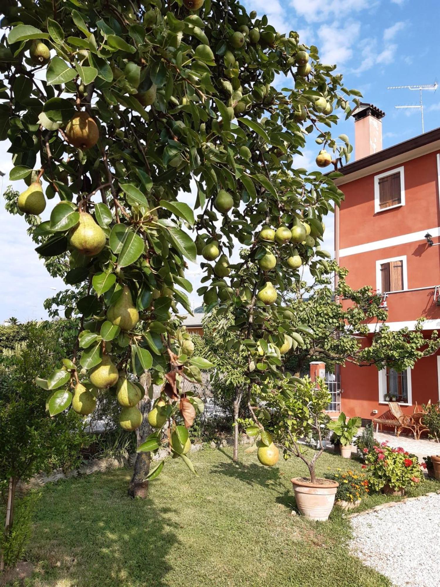 B&B Casa del Conte Soligo Exterior foto